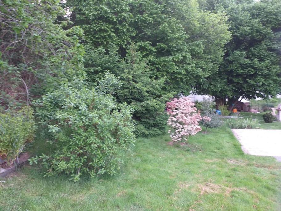 Gite La Fermette A Docelles Екстериор снимка